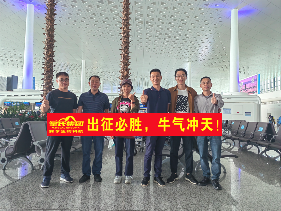 出征必胜，牛气冲天 ! | AG旗舰厅赛尔公司第四批技术团队赴巴