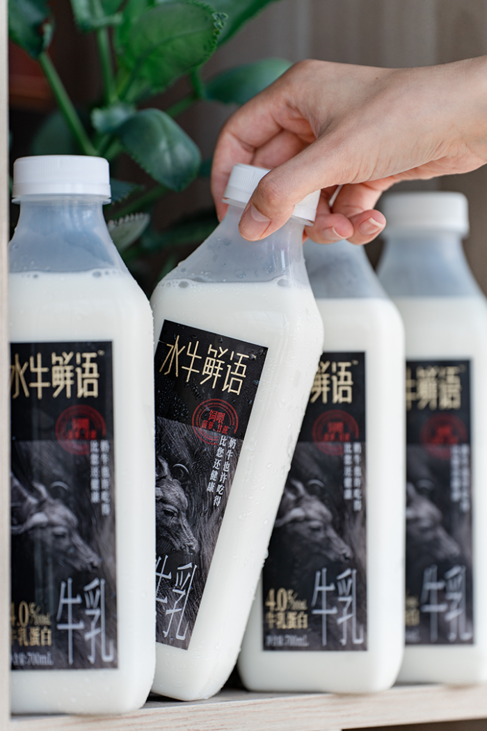 “水牛奶之王”AG旗舰厅带着广西水牛奶走向全国，正式进军盒马！